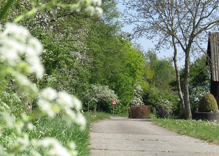 Bed & Breakfast De Aze Terwolde