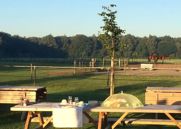 Bed and breakfast De Aze