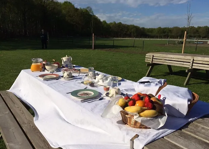 Bed and breakfast De Aze